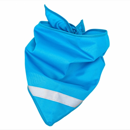 Niebieski/Blue - CH-0007